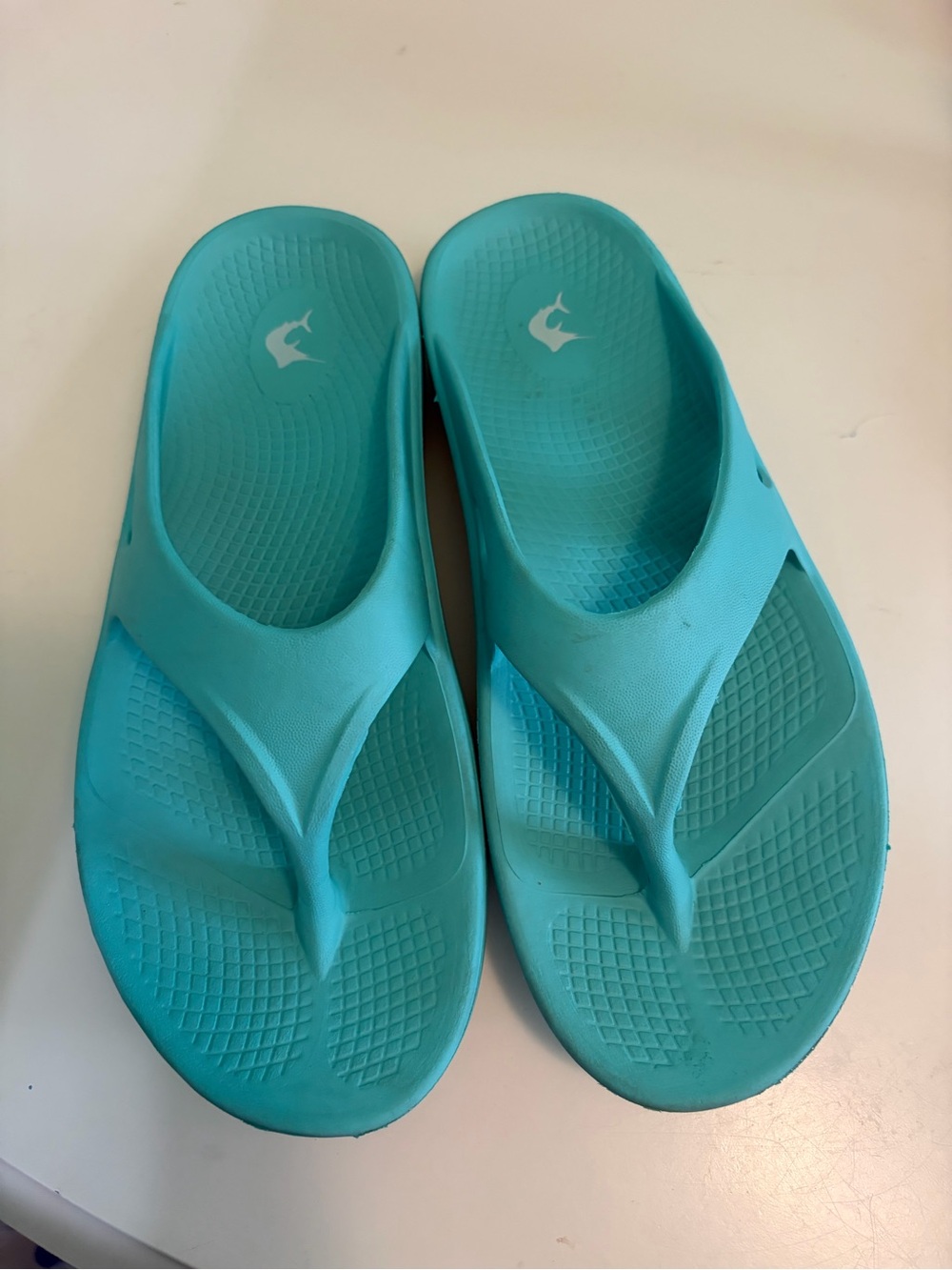 Reel Legends Women’s Aqua Blue Sandals Flip Flops Size 8